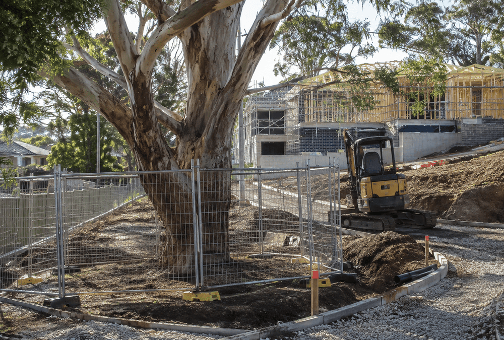 Mature eucalyptus protected by temporary fencing beside an active Australian residential construction site with excavation and an excavator.