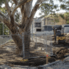 Mature eucalyptus protected by temporary fencing beside an active Australian residential construction site with excavation and an excavator.