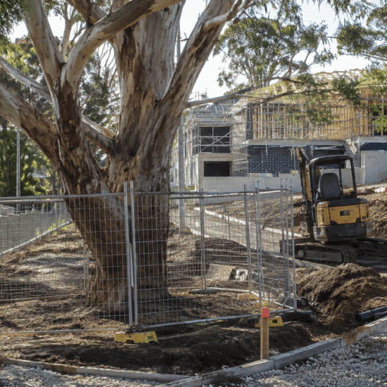 Mature eucalyptus protected by temporary fencing beside an active Australian residential construction site with excavation and an excavator.