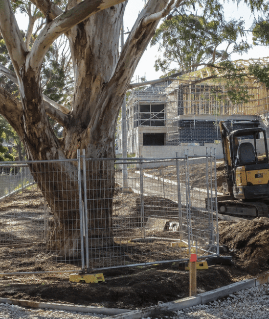 Mature eucalyptus protected by temporary fencing beside an active Australian residential construction site with excavation and an excavator.
