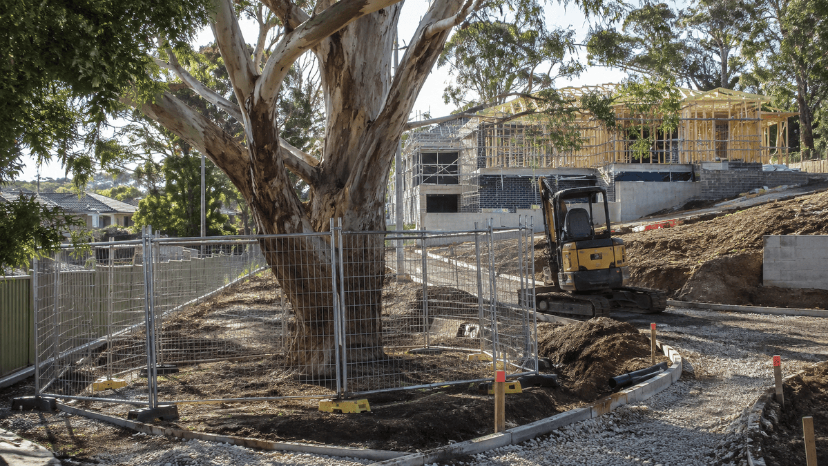 Mature eucalyptus protected by temporary fencing beside an active Australian residential construction site with excavation and an excavator.